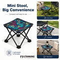 Camping Chair Max Load 100Kg Portable Chair (Multicolor)