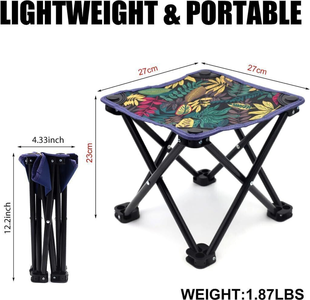 Camping Chair Max Load 100Kg Portable Chair (Multicolor)