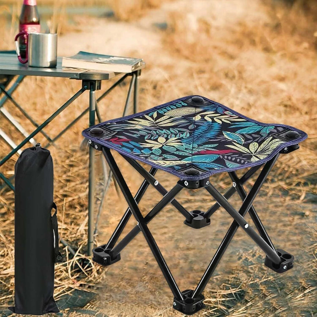 Camping Chair Max Load 100Kg Portable Chair (Multicolor)